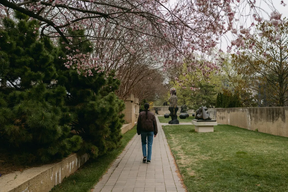 A Beginner's Guide to Mindful Walking in UK Parks and Green Spaces
